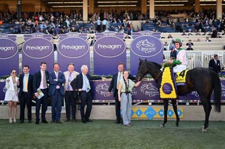 Racing's wildest millionaire - Breeders' Cup star Mike Iavarone has private jet, £215,000 McLaren & crazy Instagram page
