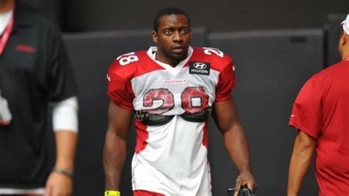 Rashard Mendenhall Biography - Transition, Super Bowl, Retirement, Net Worth and Legacy