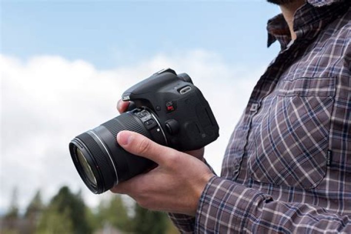 Rebel Showdown: Canon EOS Rebel T7i versus T6i