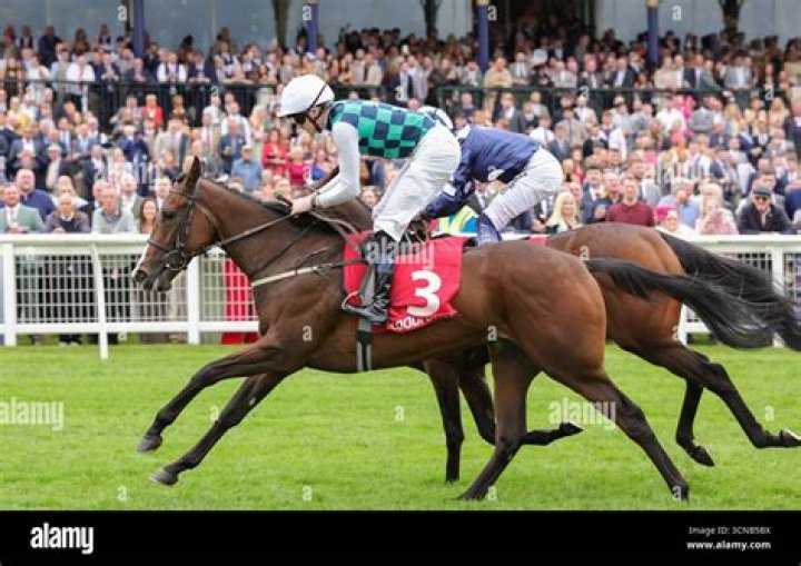 Richard Fahey to saddle eight runners in Saturday's William Hill Ayr Gold Cup at Ayr racecourse