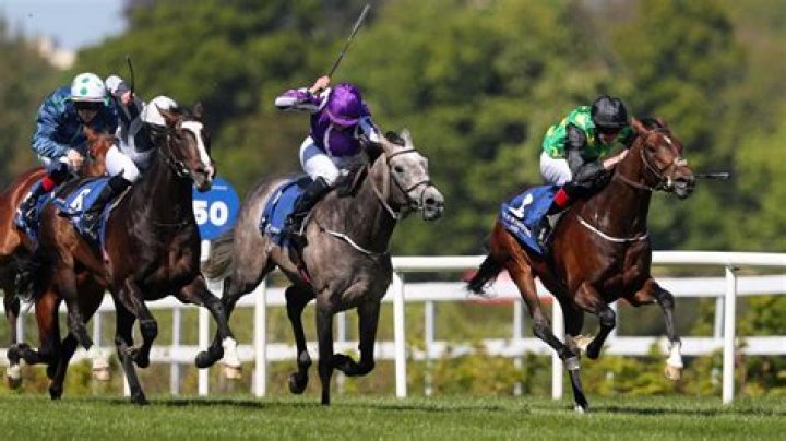 Salisbury racecard, results and TV schedule: Today’s tips, runners, results and stats for the meeting live on Racing UK this Sunday, April 29
