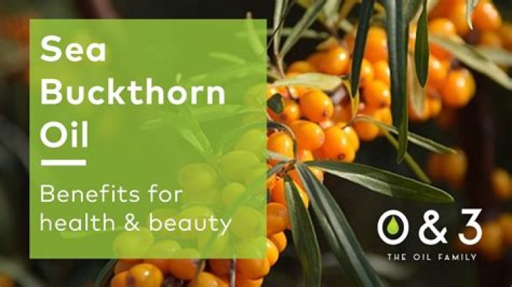 Sea Buckthorn Oil Benefits for Skin, Heart Health and Vaginal Dryness