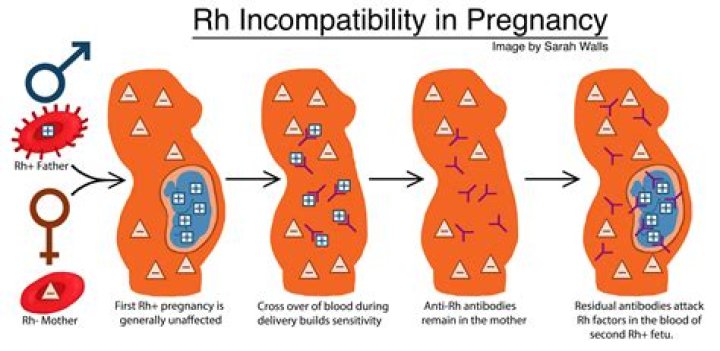 Sexual Incompatibility Is OK In A Relationship (And Here's What You Can Do About It)