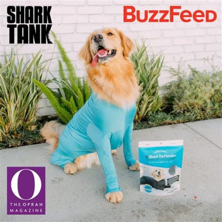 Shed Defender on Shark Tank: Bodysuit for dogs prevents a messy house