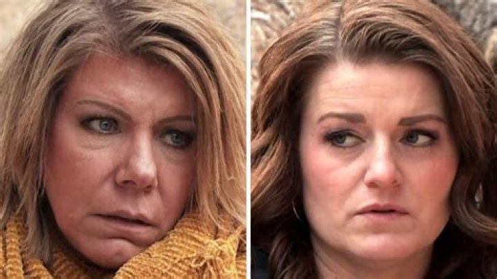 Sister Wives viewers slam Robyn Brown for not inviting Meri inside her house
