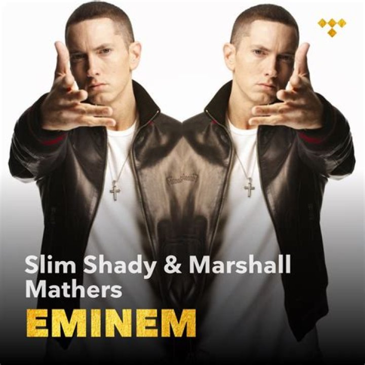 Slim Shady, Eminem or Marshall Mathers?