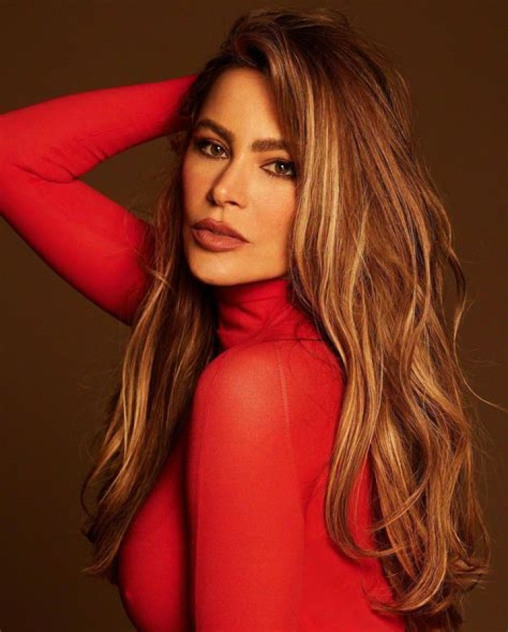 Sofia Vergara: The Journey Of A Colombian Star