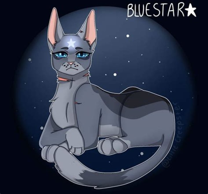 Steve Cuntz Bluestar Obituary – Death: In Loving Memory of Bluestar CEO and President, Steve Cuntz Bluestar