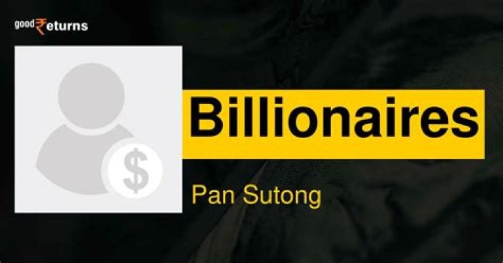 
Sutong Pan
Net Worth
