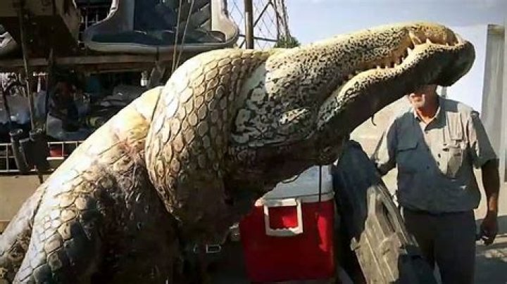 Swamp People recap: Ashley choots Ronnie’s bad banana, Daniel and Joey Edgar’s emotional moment