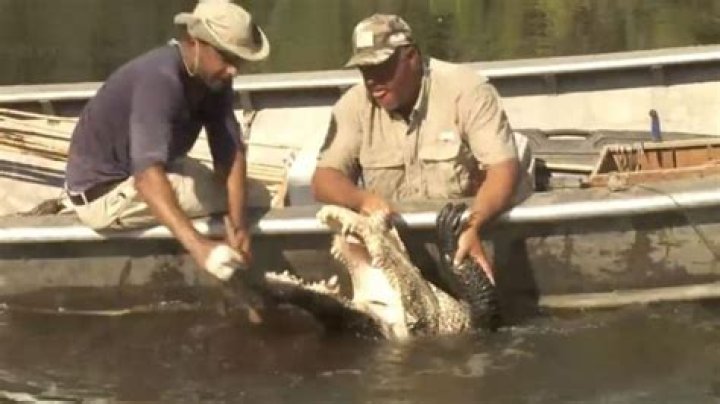 Swamp People recap: Sasquatch eludes, Big Head Junior nabbed and Joey takes the win with Bulldozer