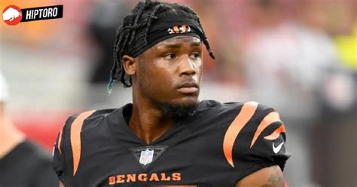 Tee Higgins Age, Teams, Stats, Height, Salary, Net Worth