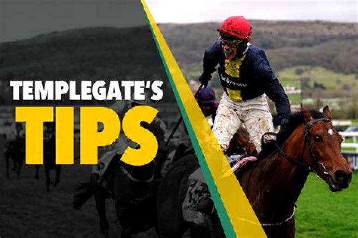 Templegate's racing tips: Sandown, Thirsk, Hamilton, Newcastle, Wolverhampton and Bangor - Top betting preview for racing on Friday, August 30
