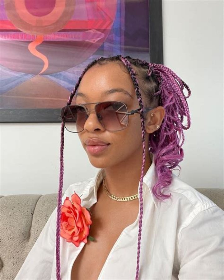The 20 Best Ombré Box Braid Ideas For Your Next Hair Appointment