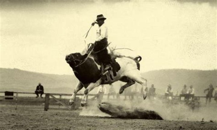 The 30 Best Bull Riders Ever, Ranked By Rodeo Fans