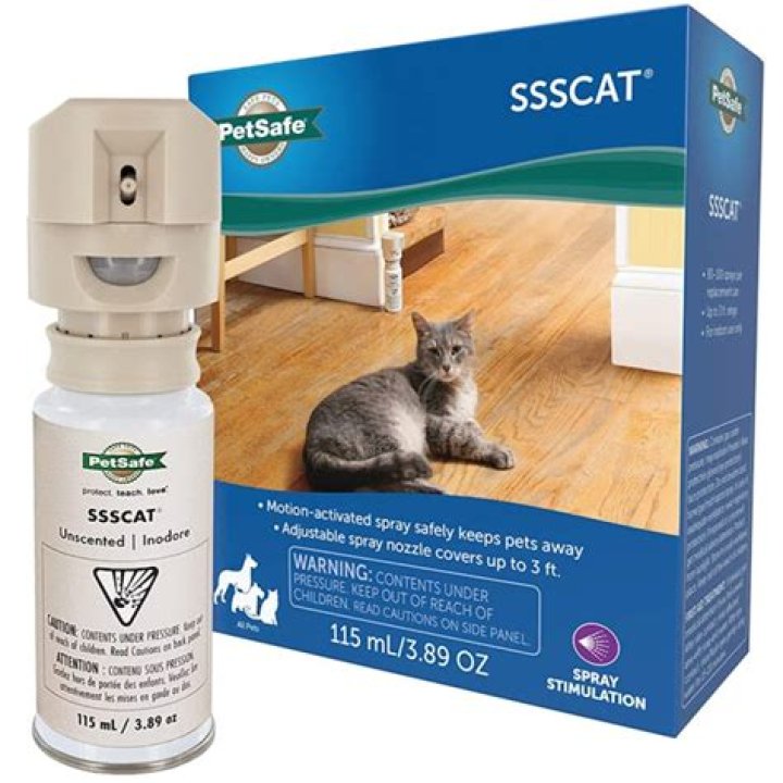 The 4 Best Cat Repellent Sprays For Furniture
