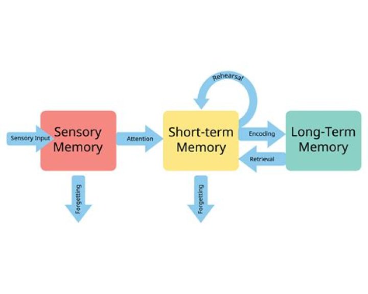 The Ending Of Memory Explained