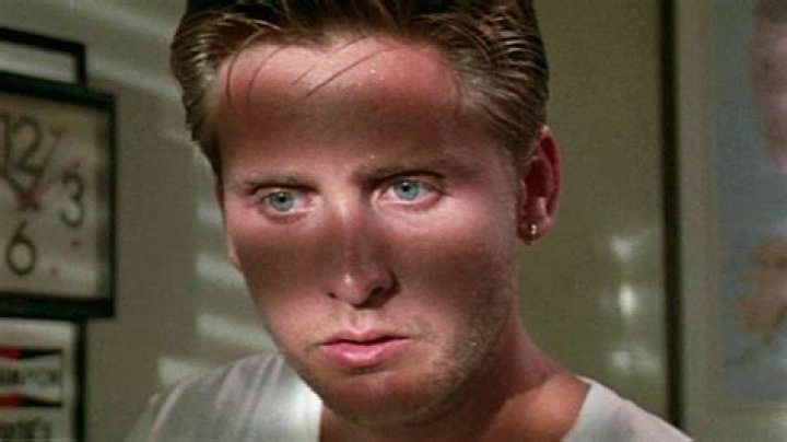 The Horror Movie That Emilio Estevez Regrets Ever Filming