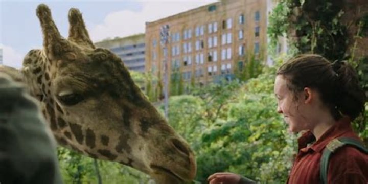 The Last Of Us Episode 9's Giraffe Scene Is Taken Straight From The Game