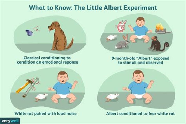 The Little Albert Experiment: A Case Study for Unethical Science