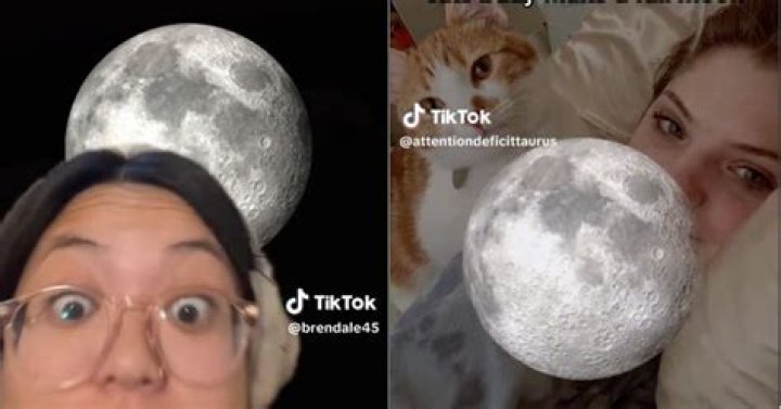 The Moon Phase Trend Is The Compatibility Test Taking Over TikTok