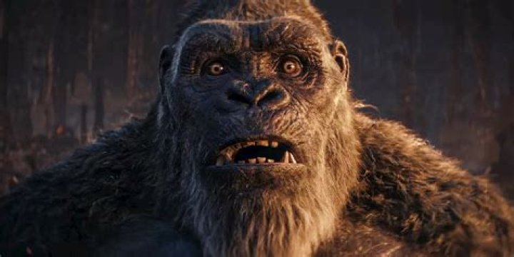 The New Empire Clips Released