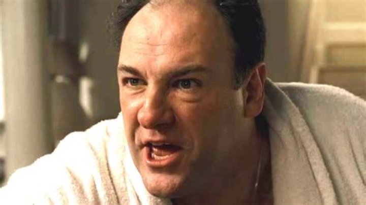 The Organized Crime Series That Fans Of The Sopranos Need To Watch Next