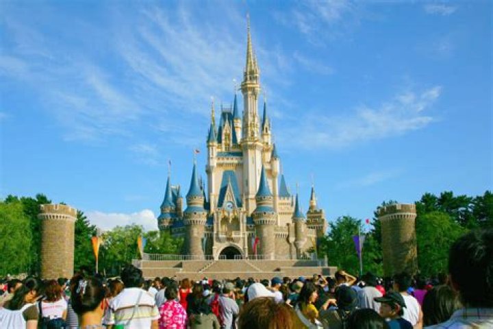 The Reason You Won’t Find Mosquitoes at Disney World