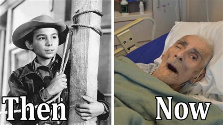 The Rifleman Cast Where Are They Now?