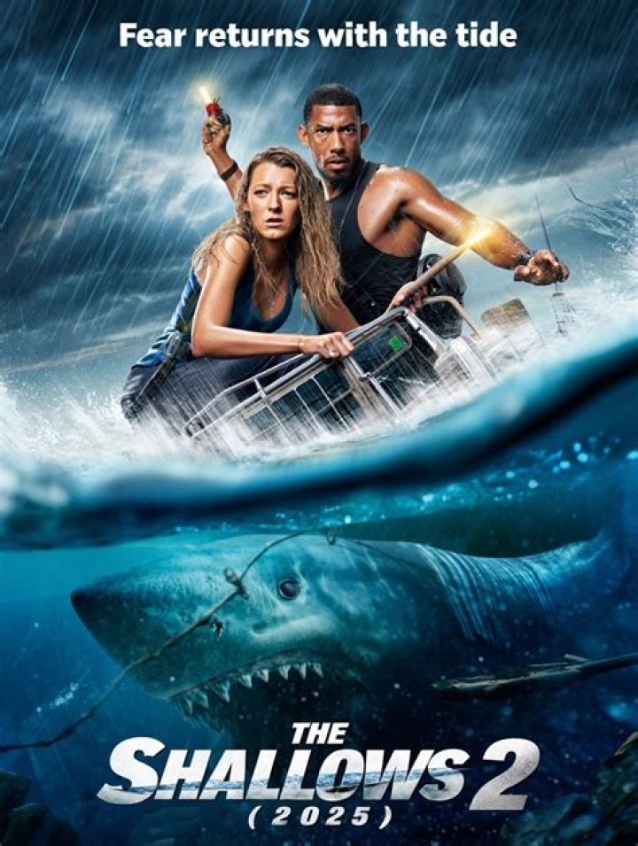 The Shallows Ending Explained: Did Nancy Save Herself From The Great White Shark?