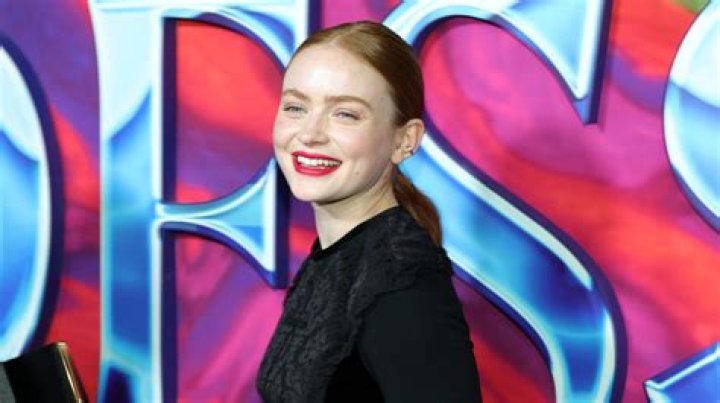 “The Stranger Things” Star Sadie Sink: Who Is She Dating?