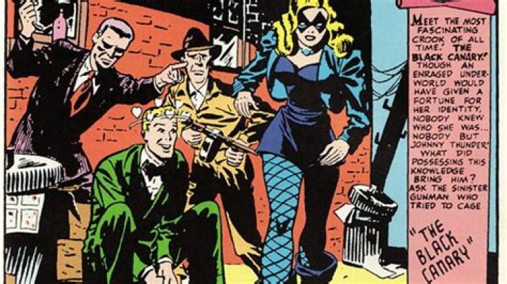 The Untold Truth Of Black Canary