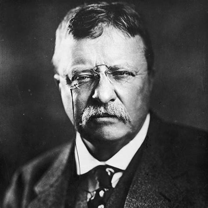 Theodore Roosevelt - Quotes, Children & Presidency