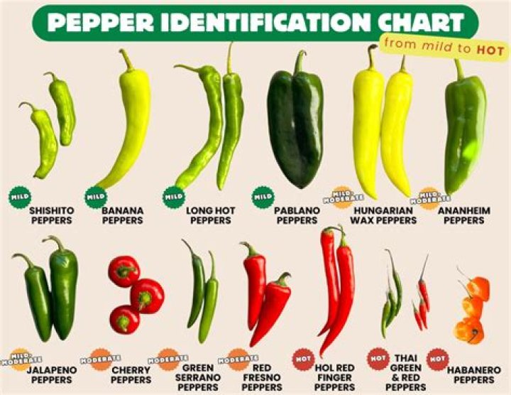 These Spicy Reaper Pickles Have 3 Different Types Of Spicy Pepper In Them