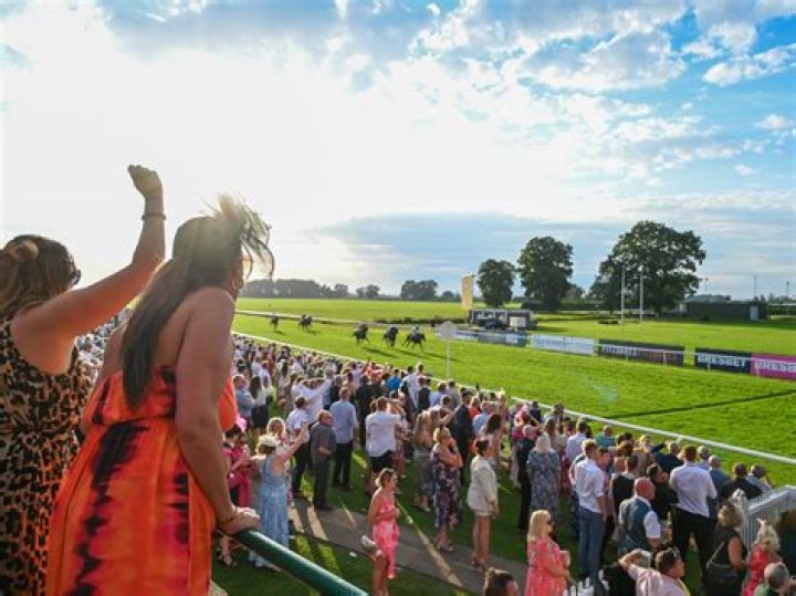Thirsk racecourse News | Latest Headlines & Updates