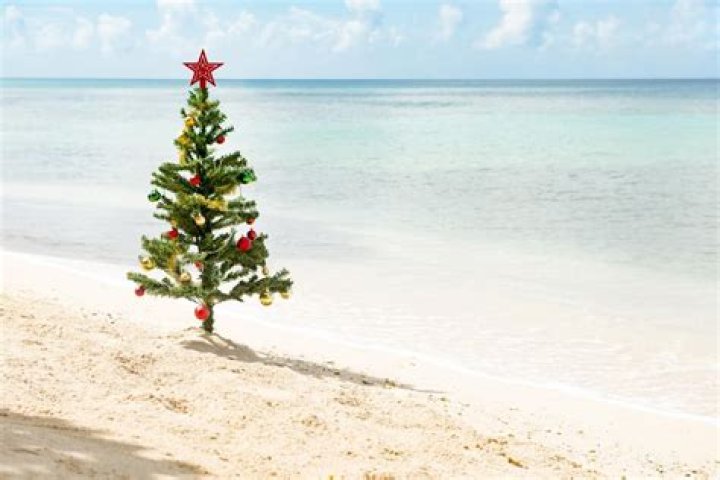 This is what Christmas is like in the southern hemisphere | London Evening Standard