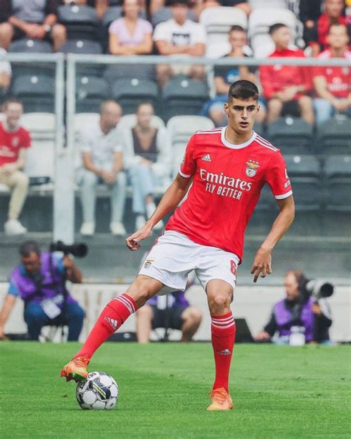 Thomas Piselli - Player profile