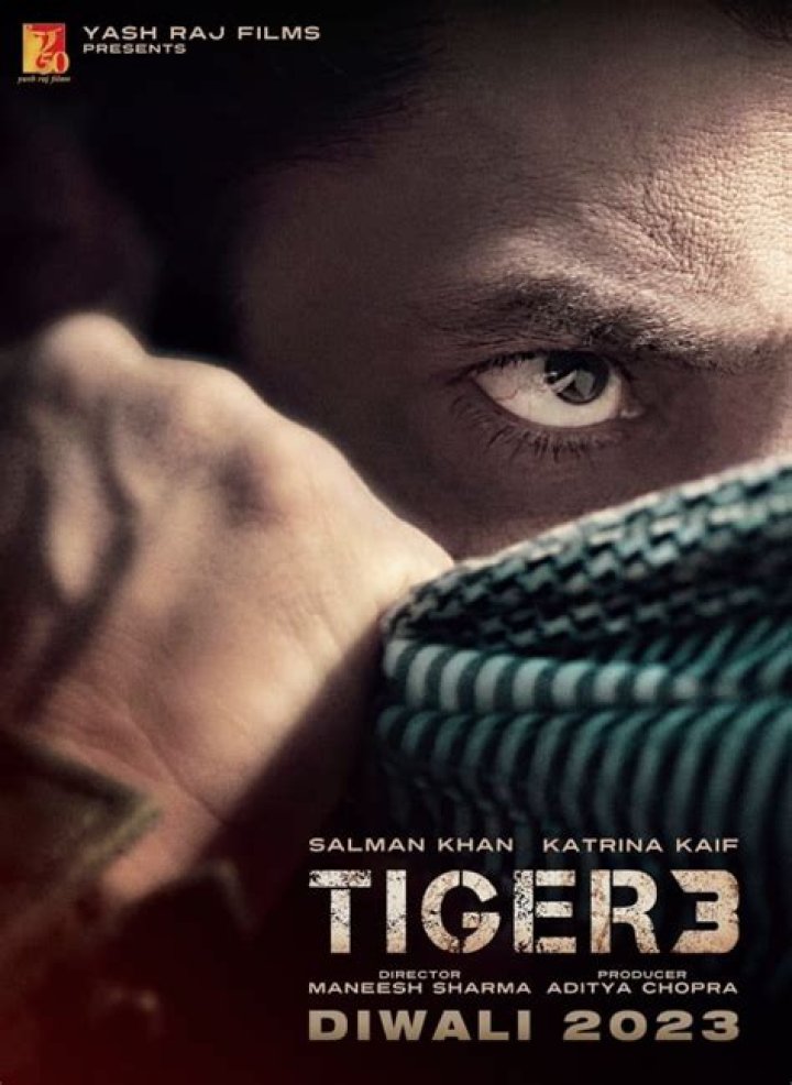 Tiger 3 Box Office: Salman Khan, Katrina Kaif film jumps by 50 percent on 2nd Saturday; Enters 250 crore club