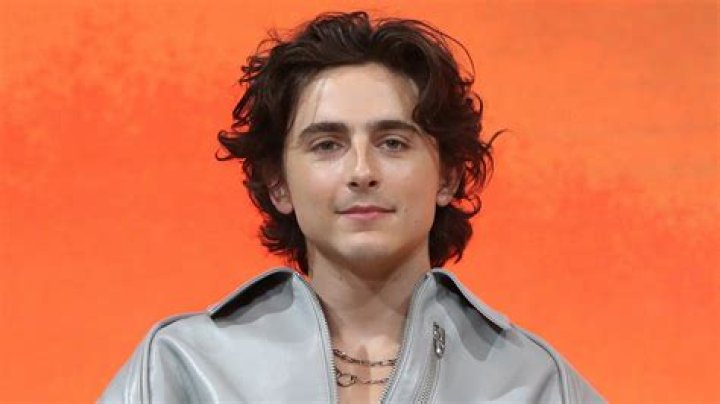 Timothee Chalamet Net Worth 2024