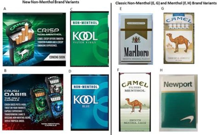 Tobacco firm’s new Rizla cards to get round 2020 menthol cigarette ban slammed by charity – The Sun