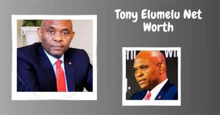 Tony Elumelu Net Worth 2024