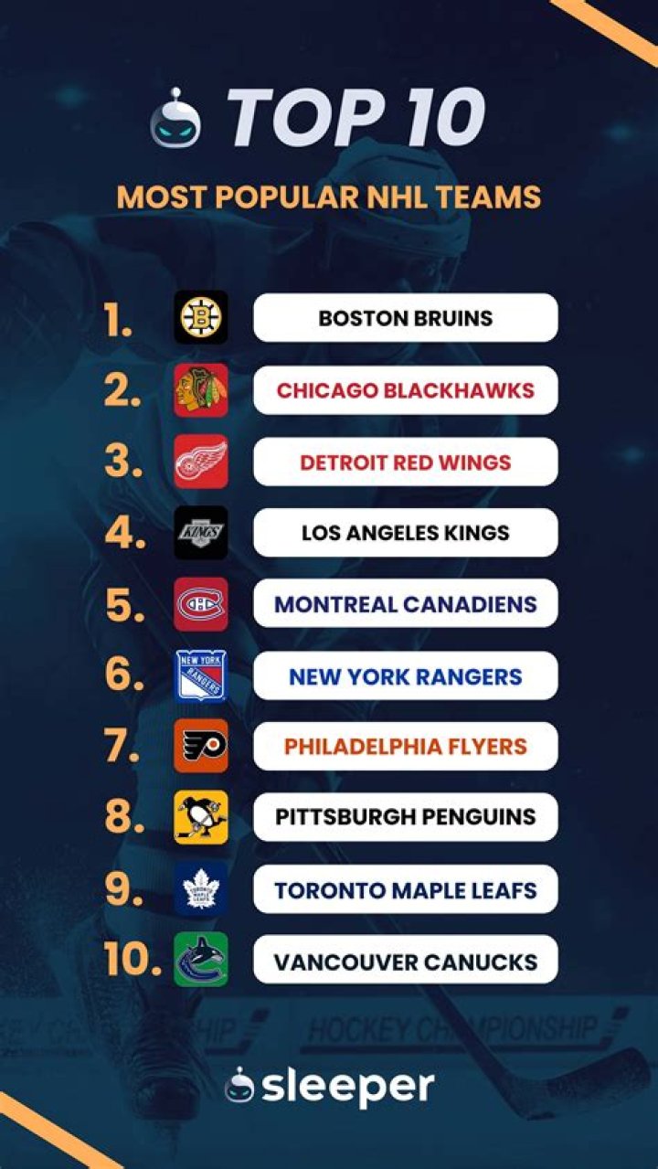 Top 10 NHL Hits Of All Time [2024 Update]