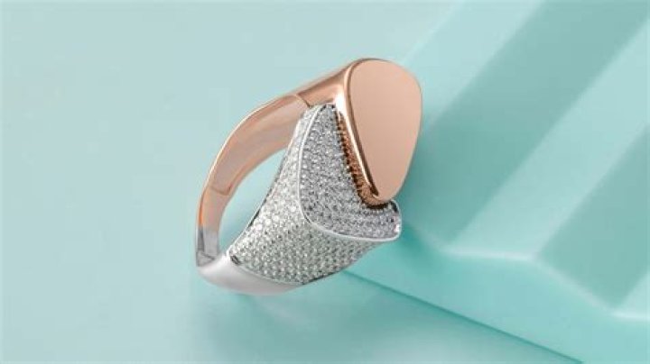 Treat yourself or gift someone with trendy jewelry in 2024