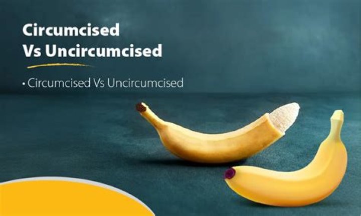 Uncircumcised Penis - AskMen
