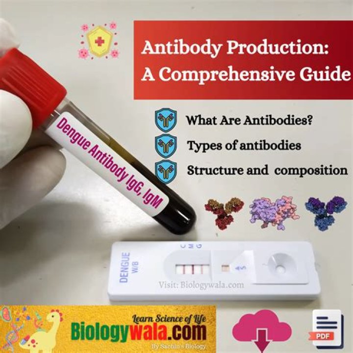 Understanding Promhib: A Comprehensive Guide