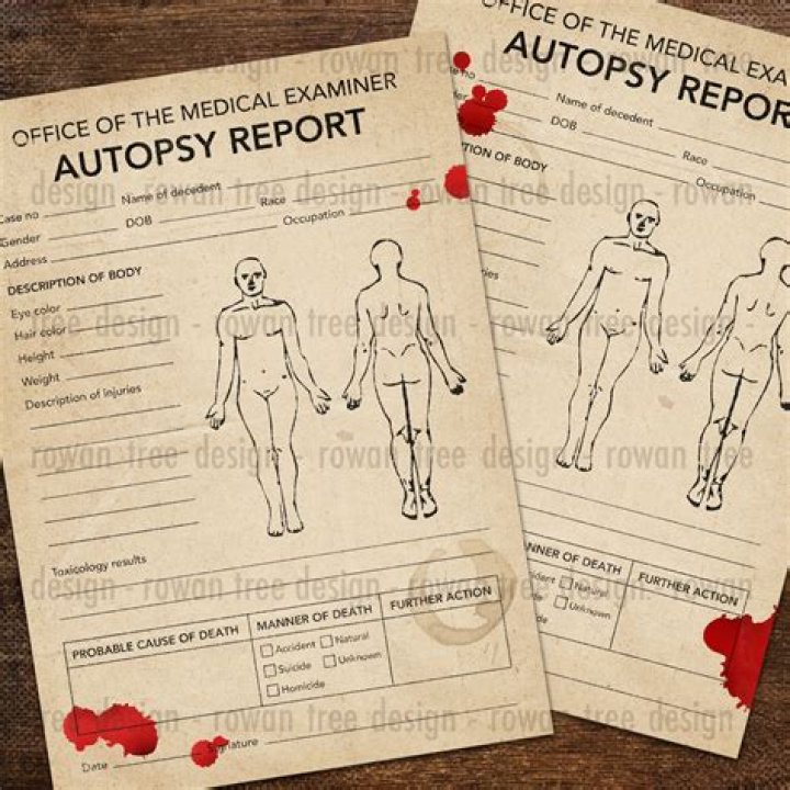 Understanding The Deedee Autopsy Report: A Comprehensive Analysis