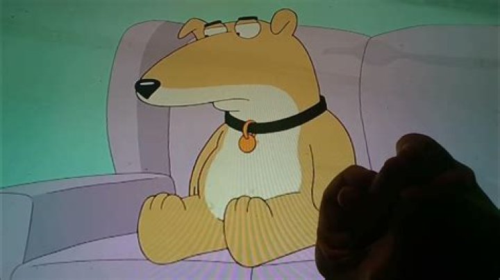 Vinny the Dog's Voice Actor Tony Sirico Signed For Six Episodes