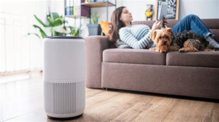 We test the best air purifiers for Asthma Awareness Month