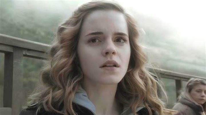 What Happened To Hermione Granger After Hogwarts?