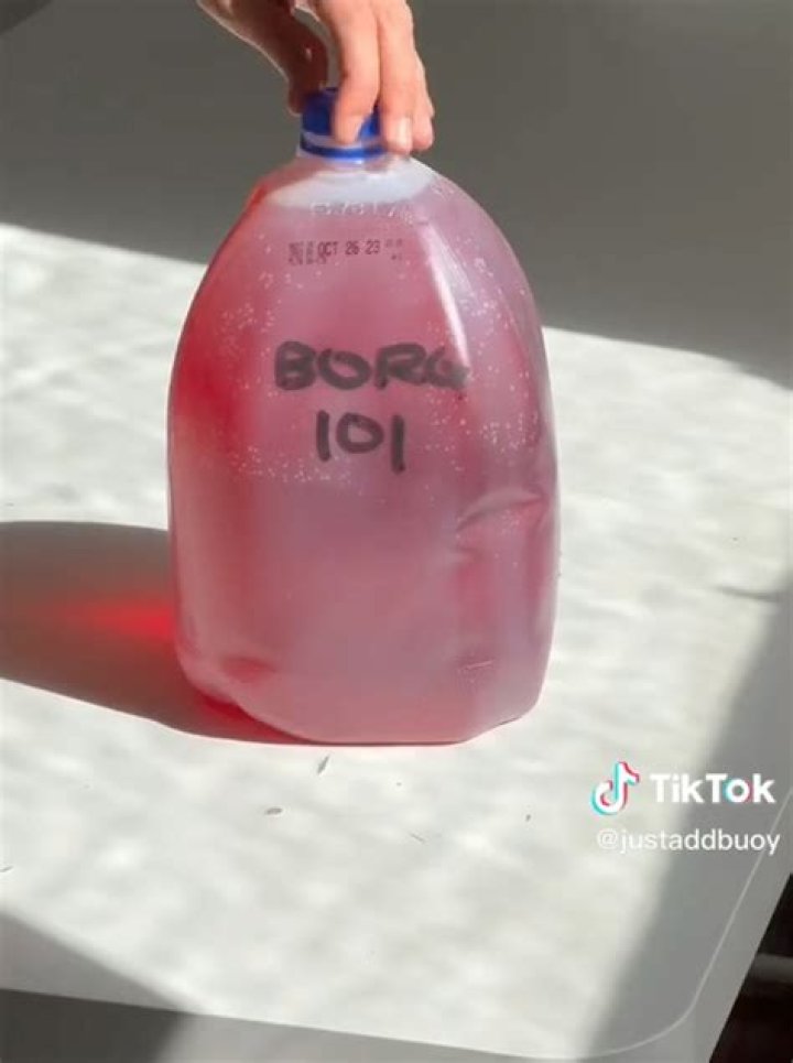 What Is A BORG? Gen Z Is Showing Their Go-To Drink On TikTok